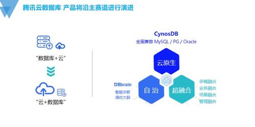 國產數據庫技術發展的探索與思考